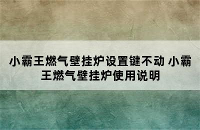 小霸王燃气壁挂炉设置键不动 小霸王燃气壁挂炉使用说明